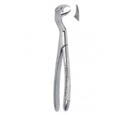 Extracting Forceps